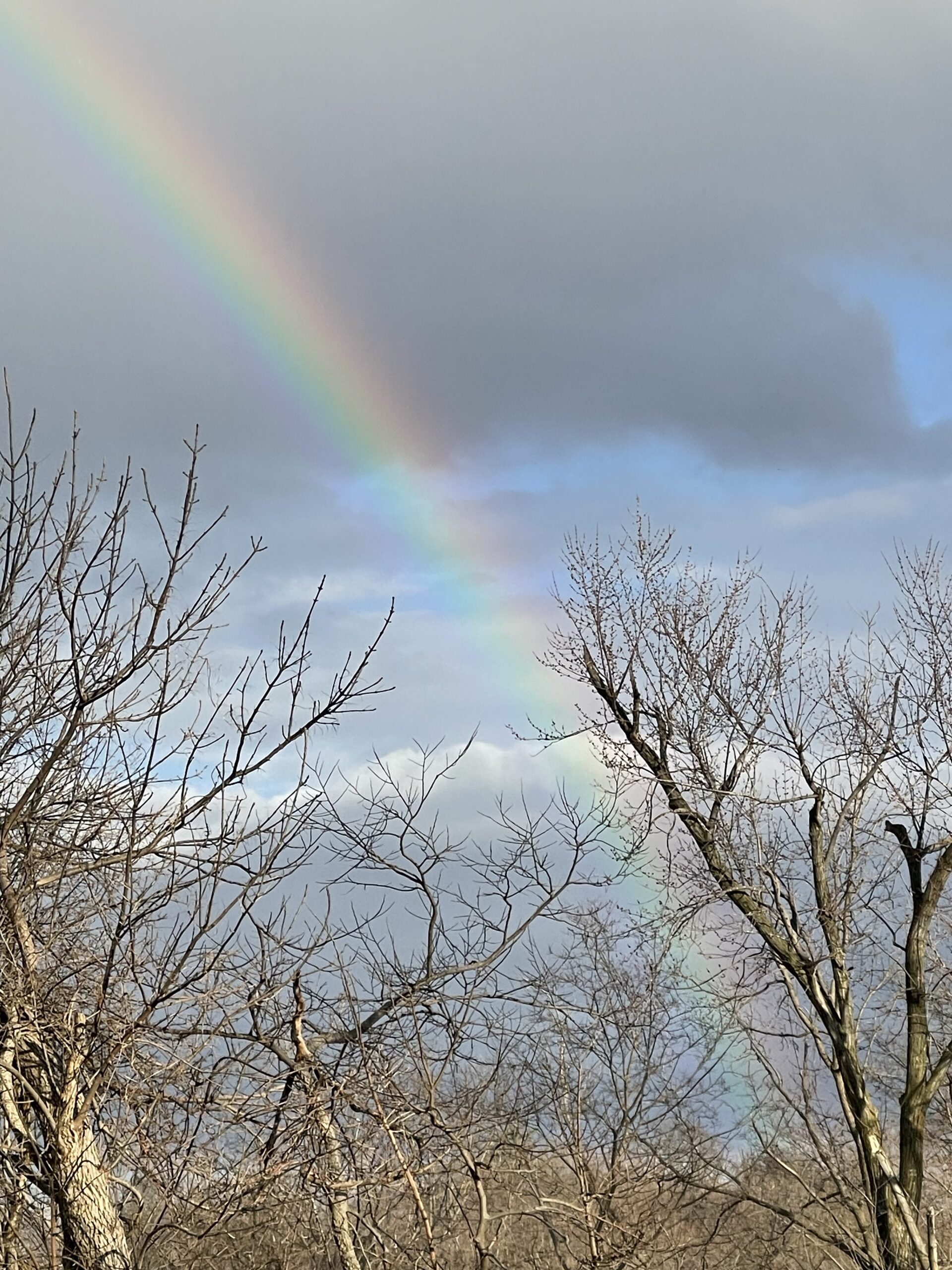 East Kenwood Homes Logo